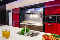 Great Holland kitchen extensions
