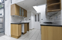 Great Holland kitchen extension leads